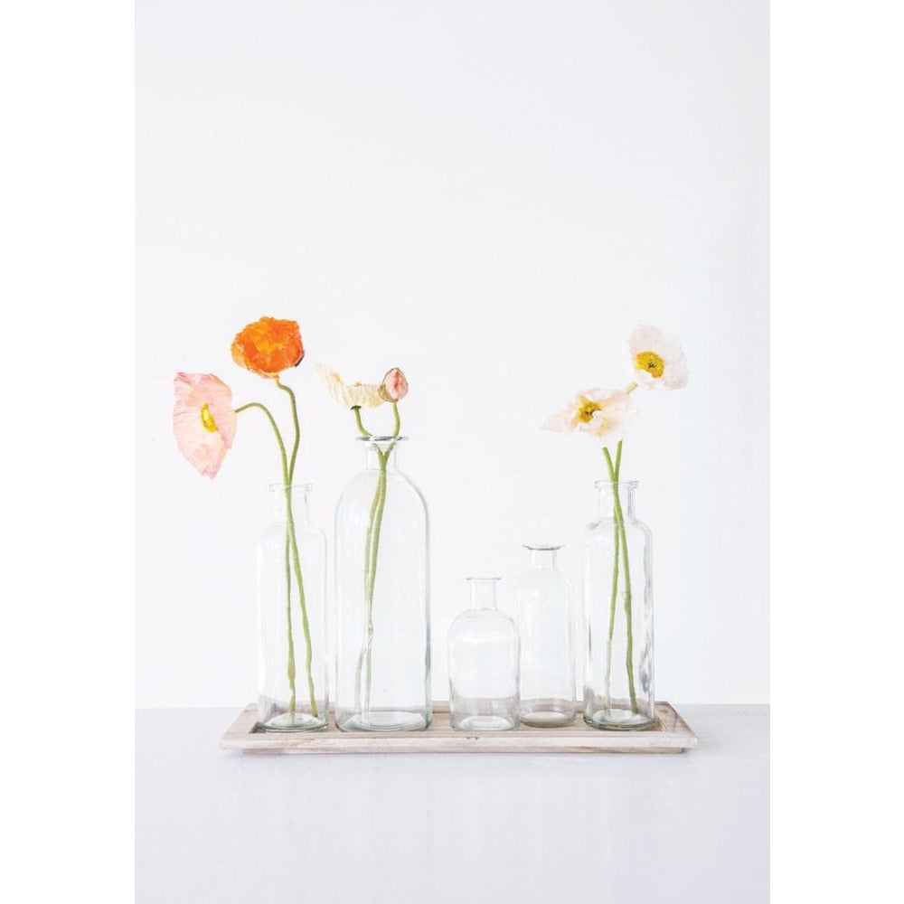 5 Glass Bottle Vases w/Wooden Tray Set