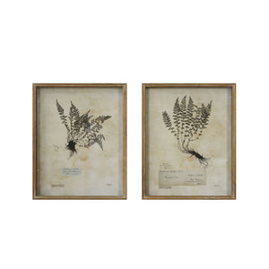 Wood Framed Shadow Box Wall Décor w/ Vintage Reproduction Fern Image