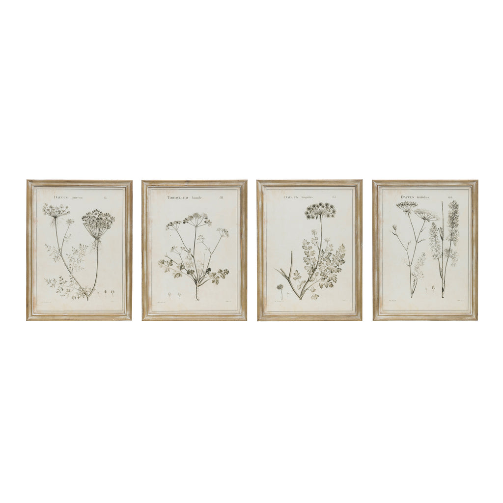 Vintage Reproduction Botanical Print Framed Wall Decor