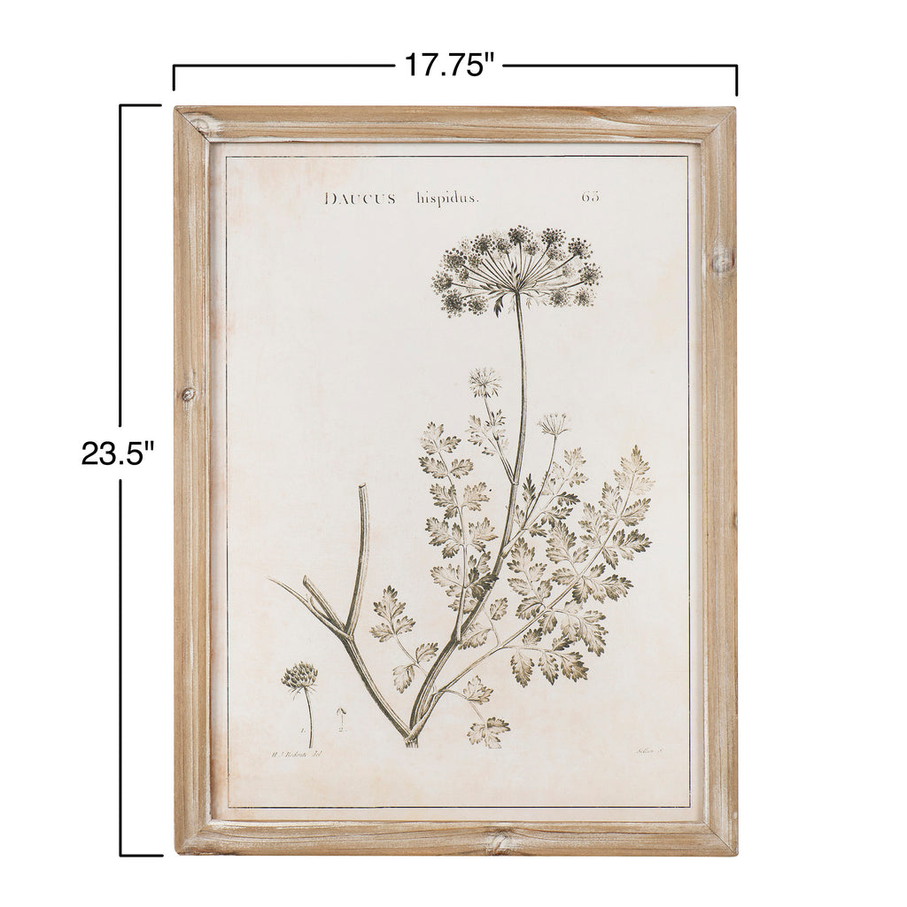 Vintage Reproduction Botanical Print Framed Wall Decor