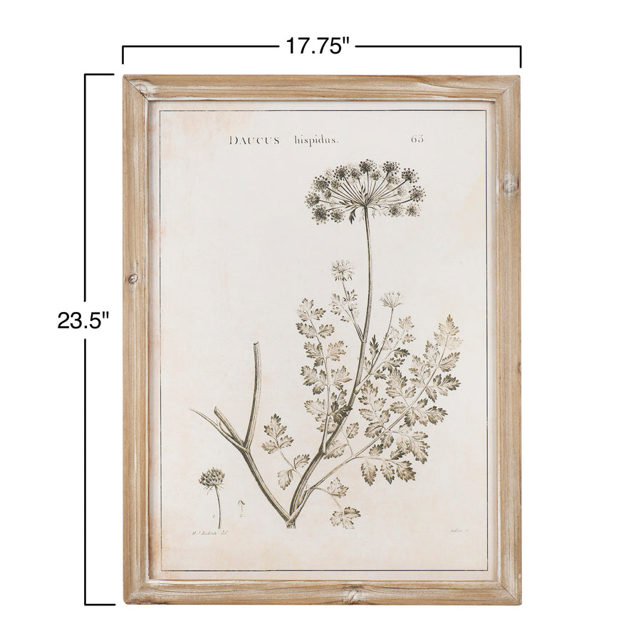 Vintage Reproduction Botanical Print Framed Wall Decor