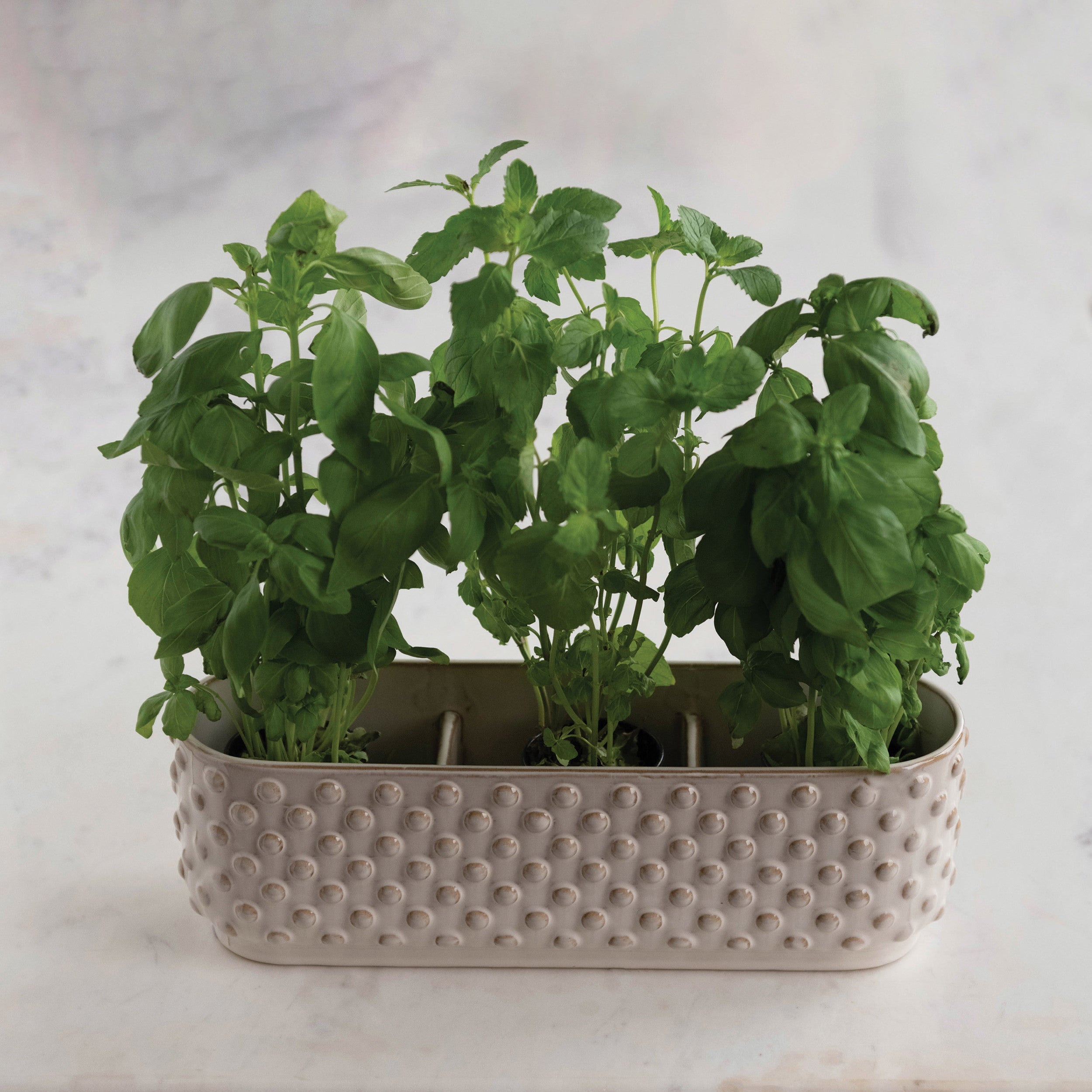 White Stoneware Hobnail Window Planter w/3 Sections