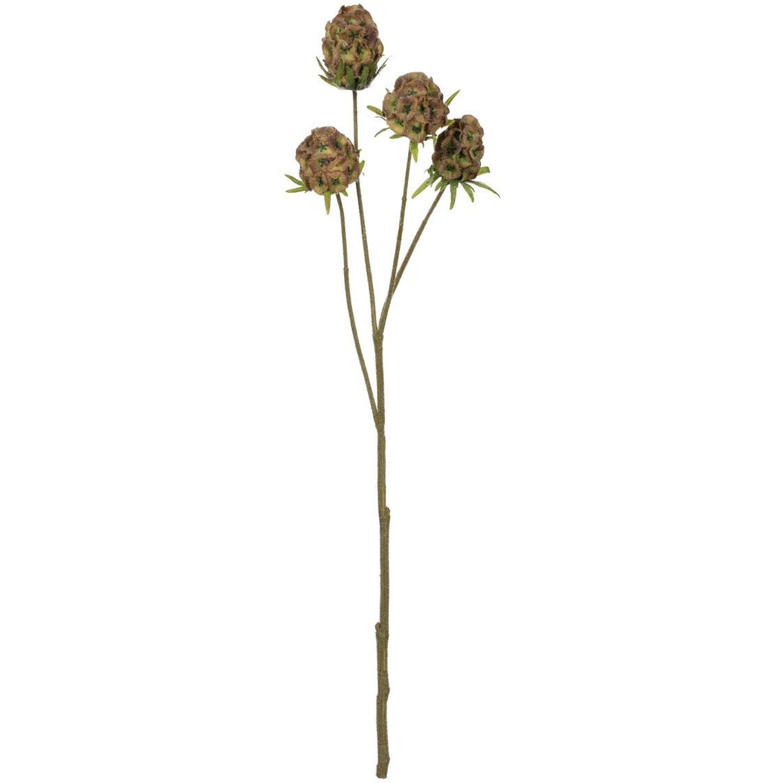 Scabiosa Spray