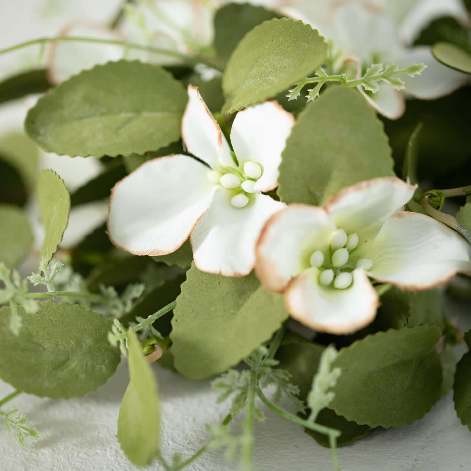 Dogwood Pick