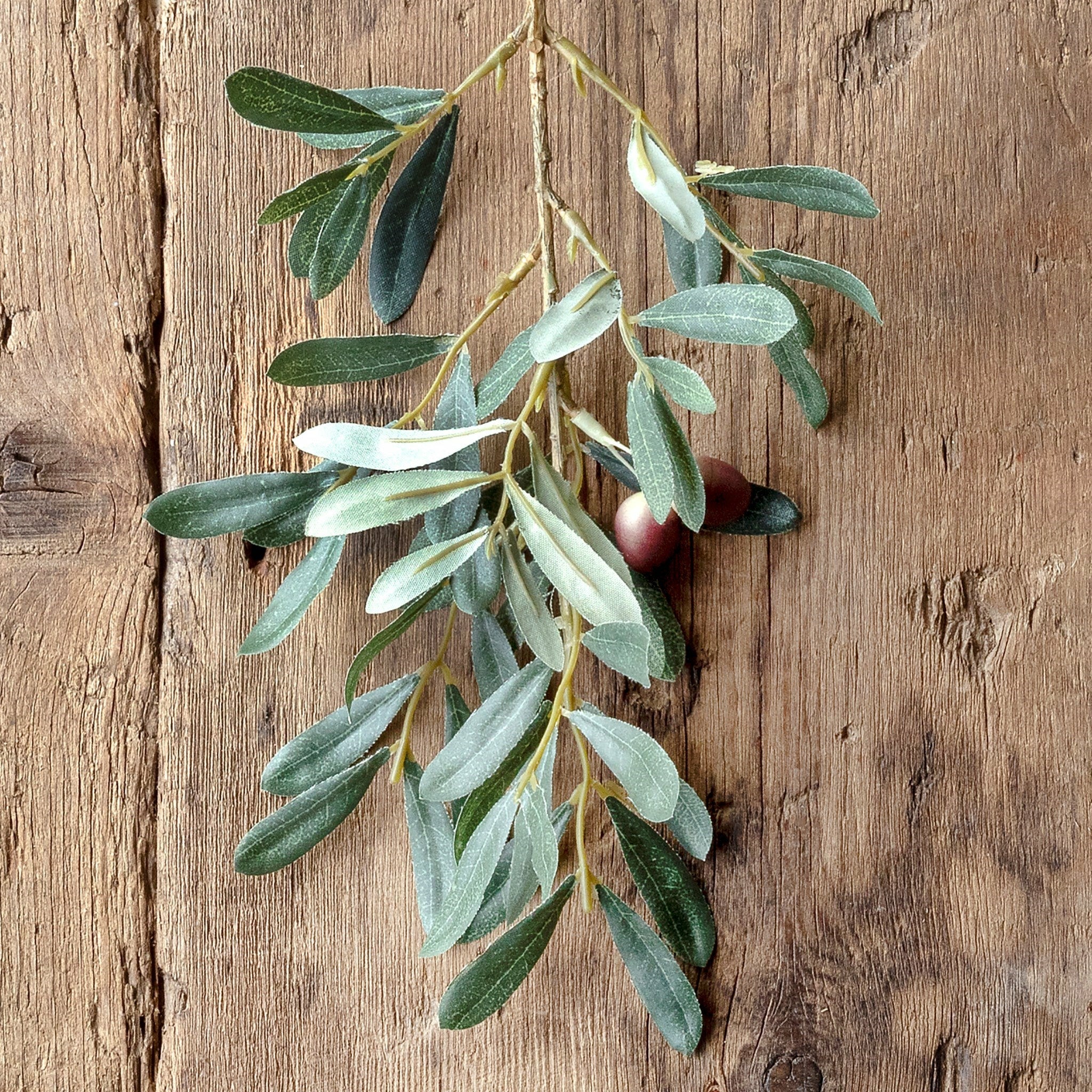 Spanish Olive Cutting
