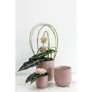 Everly Blush Pot