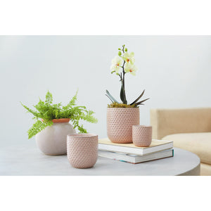 Everly Blush Pot