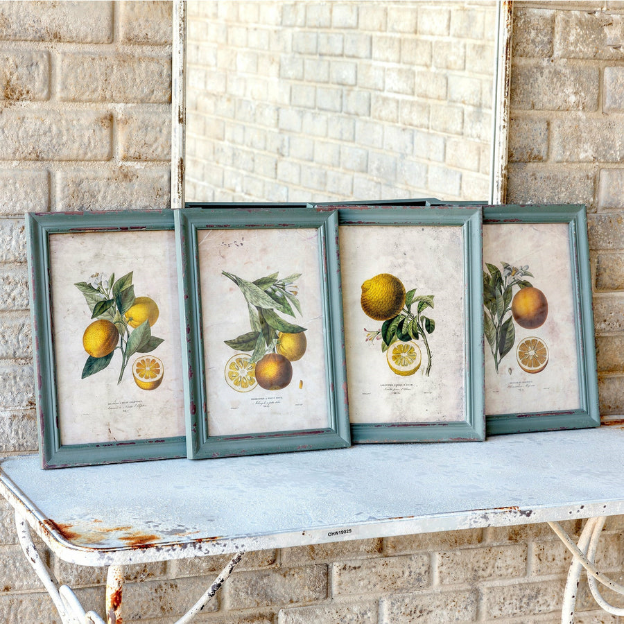 Framed Citrus and Blossom Prints
