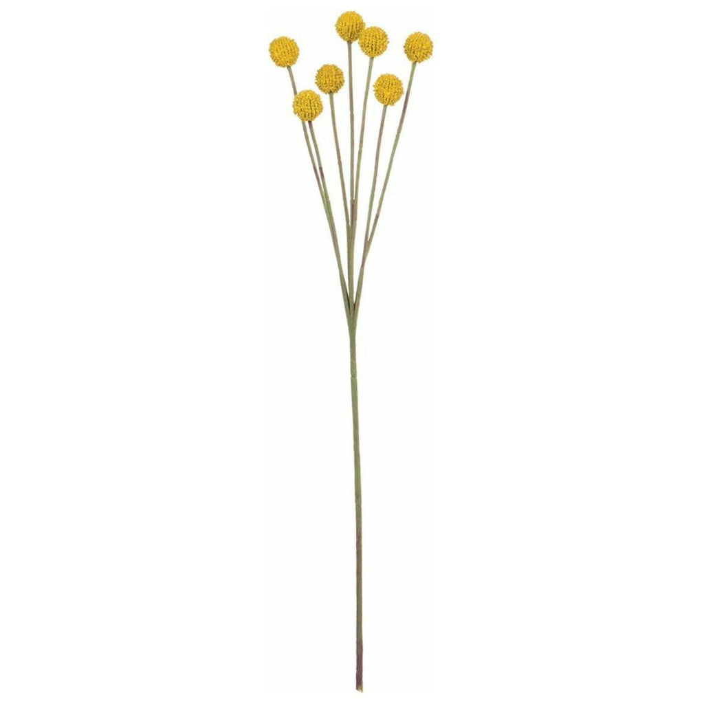 Billy Button Stem - Yellow