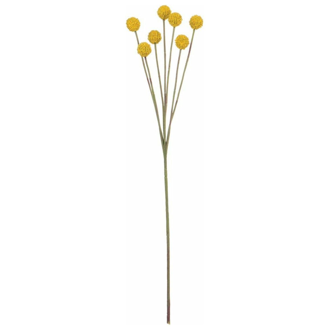 Billy Button Stem - Yellow