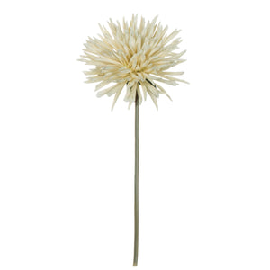 Dahlia Stem - Cream