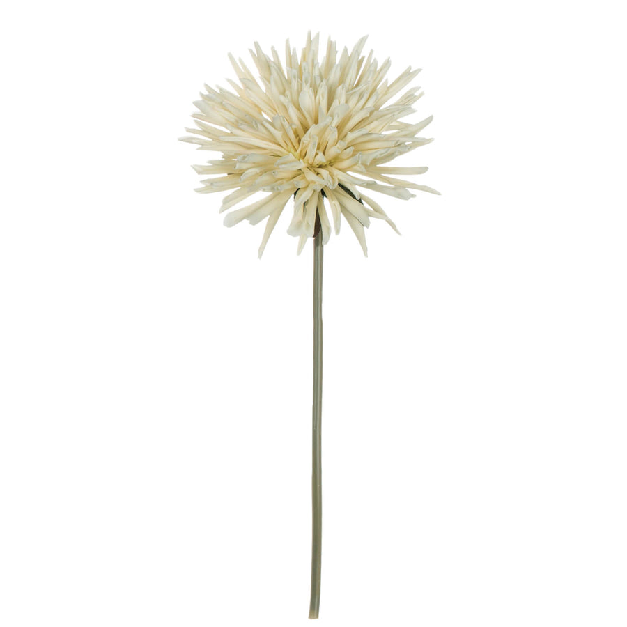 Dahlia Stem - Cream