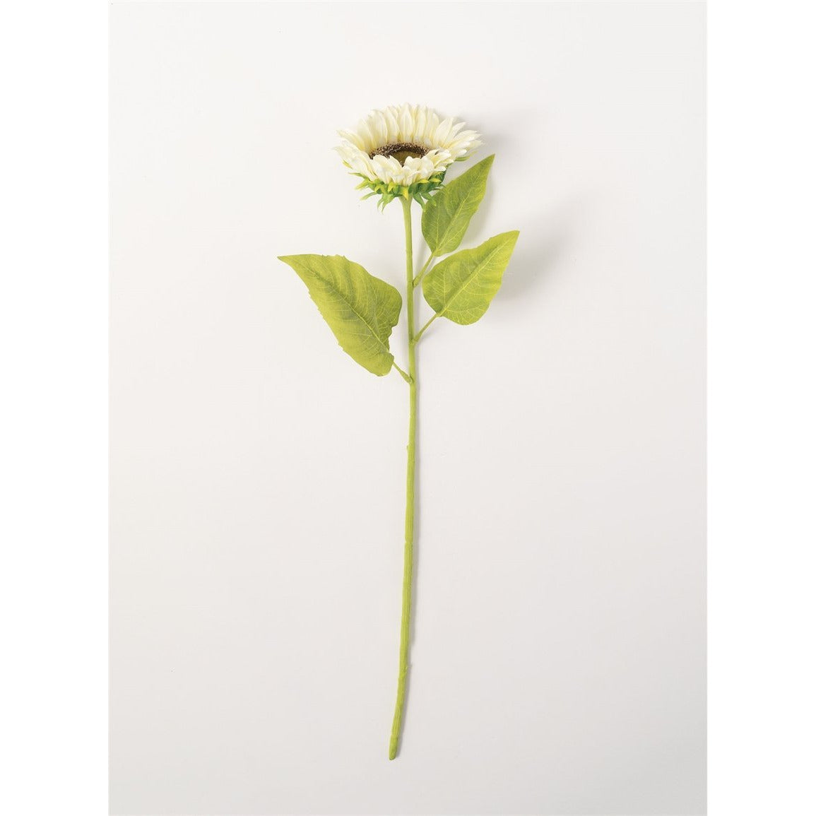 Sunflower Stem - Cream