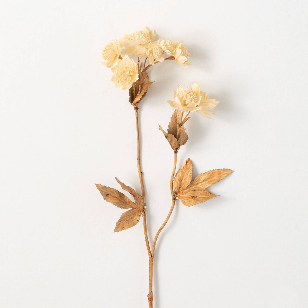 Plush Clover Spray | Cream