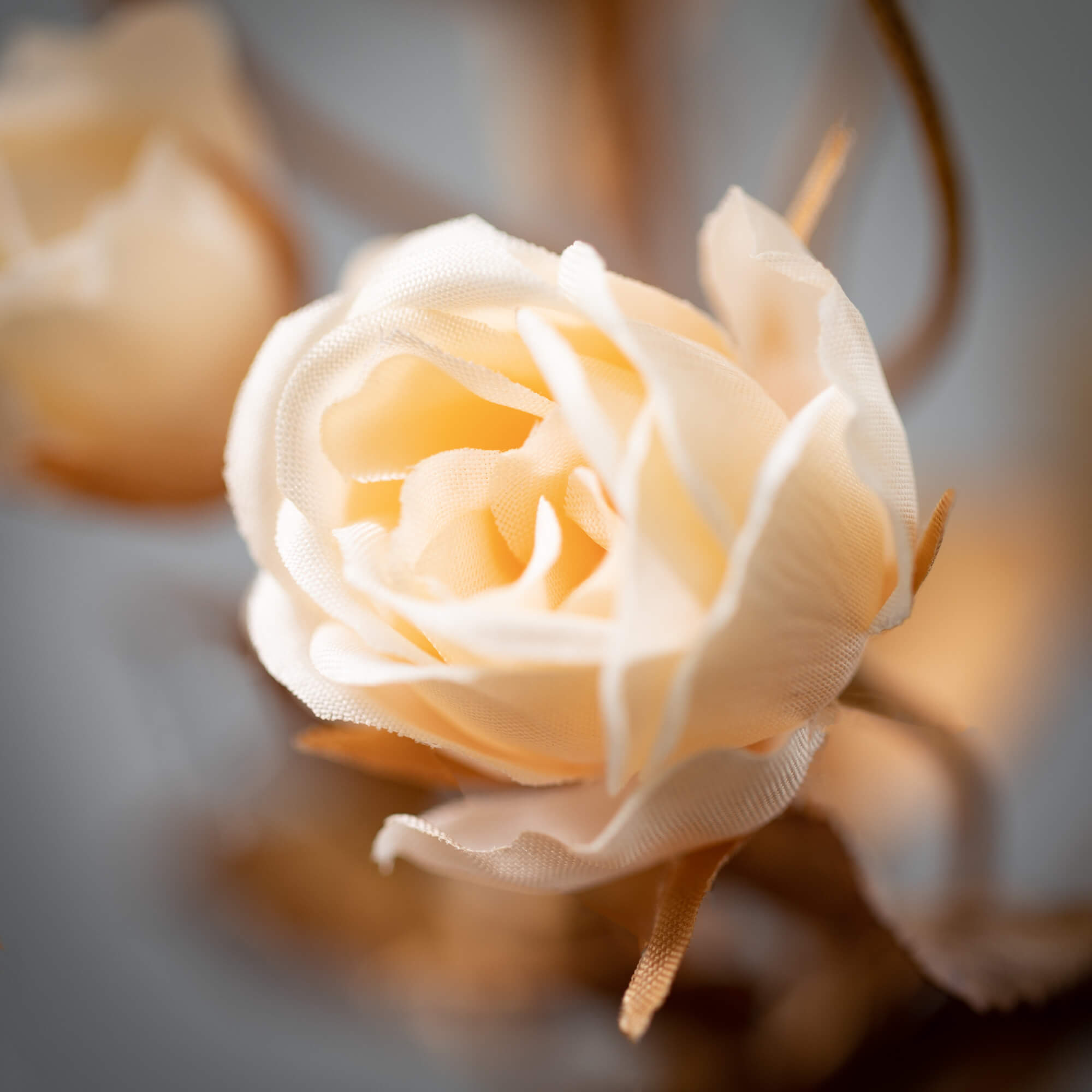 Classic Multi Bloom Roses