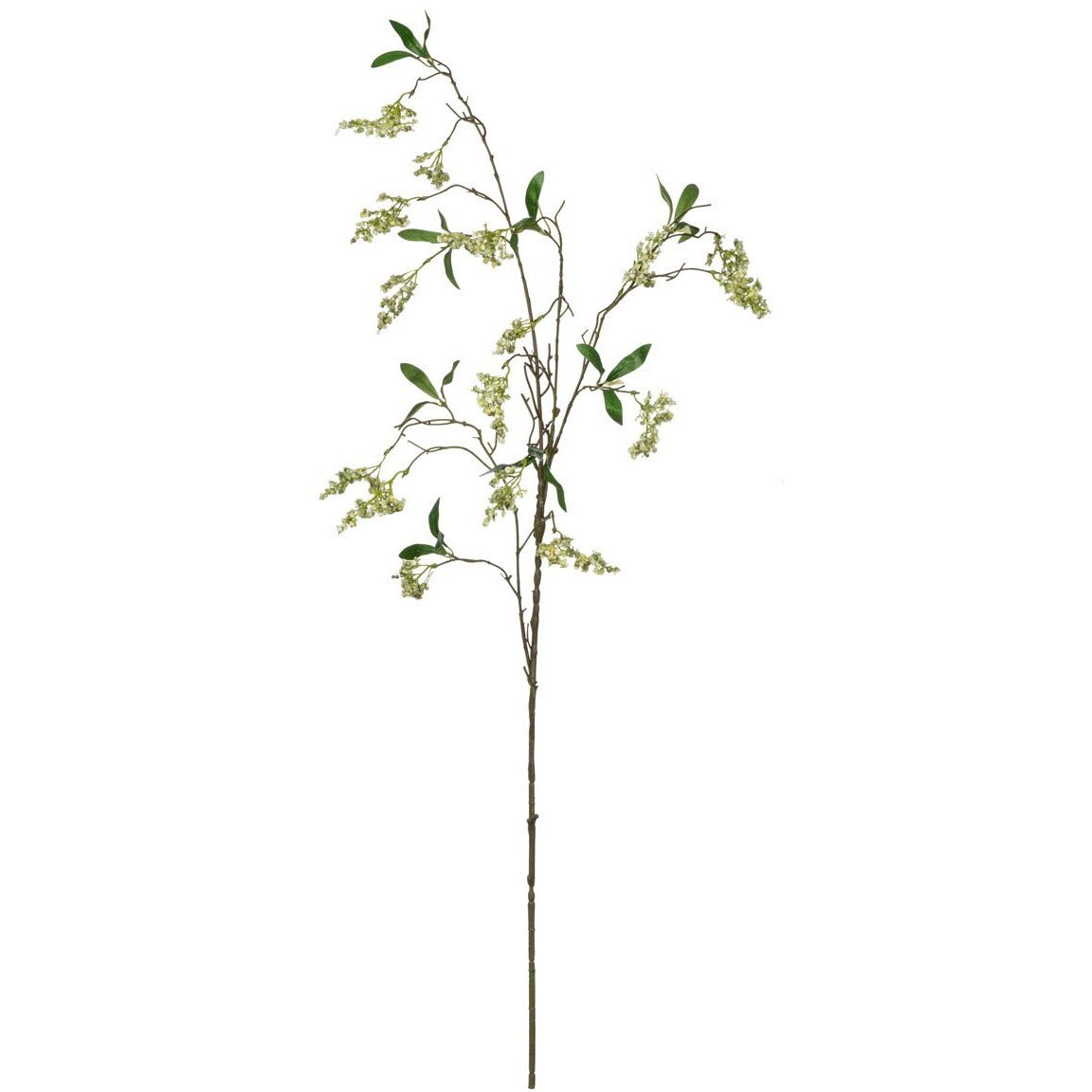 Queen Anne's Lace Spray