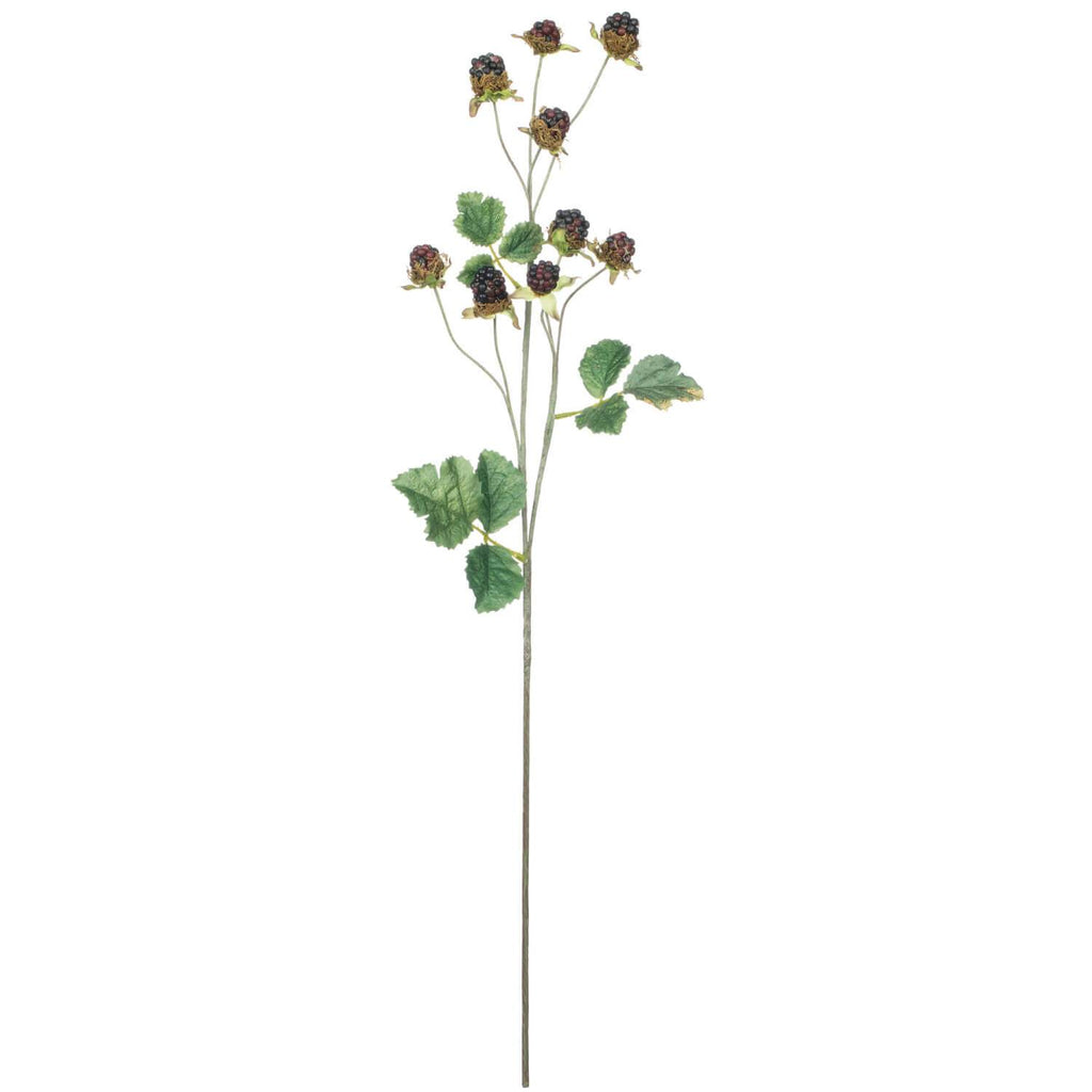Blackberry Spray