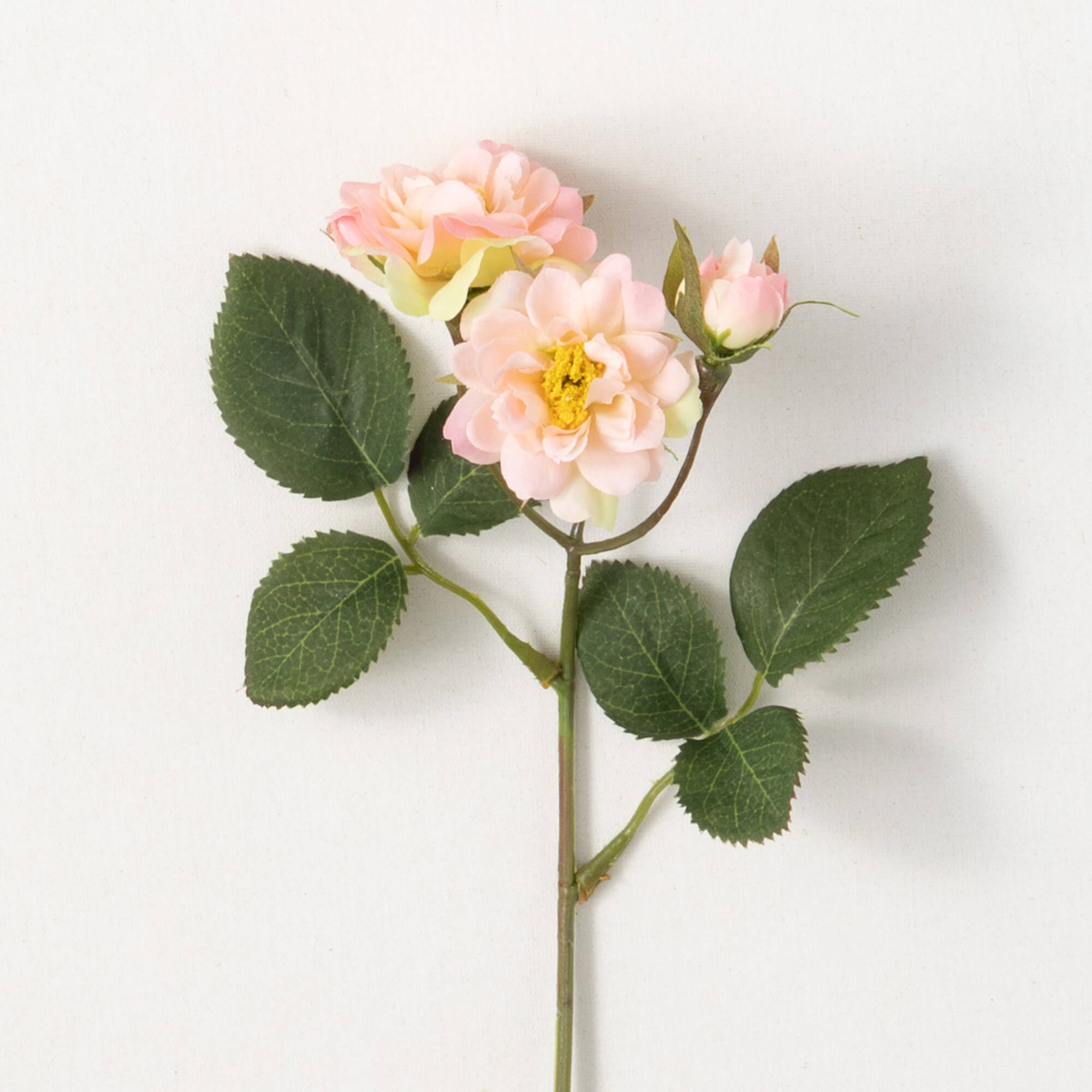 Wild Rose Spray