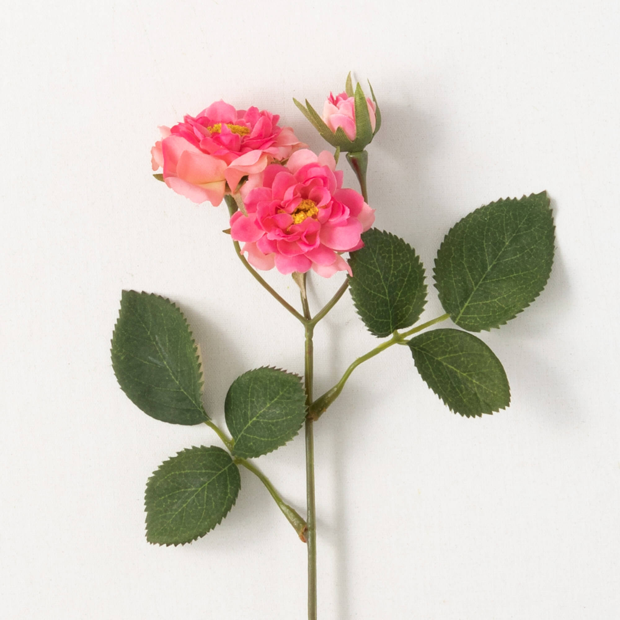 Wild Rose Spray