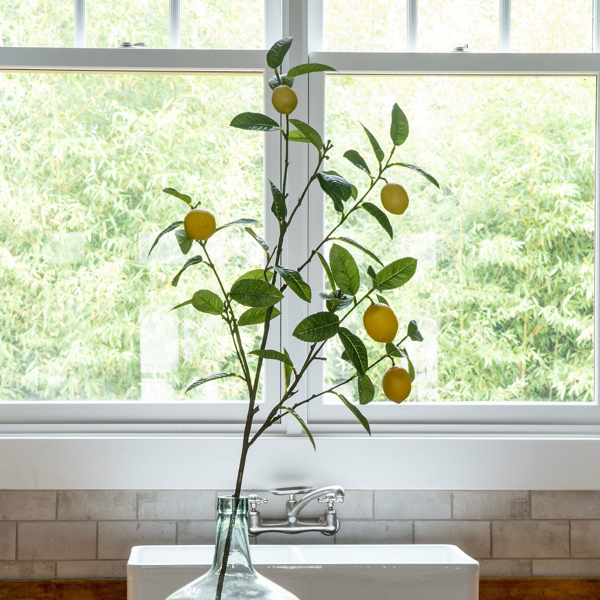 Lemon Branch