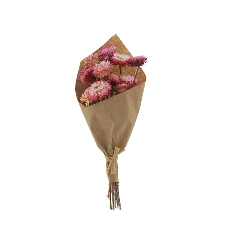 Strawflower Bouquet (Dried)