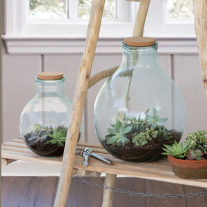 Glass Terrarium w/Garden Tools