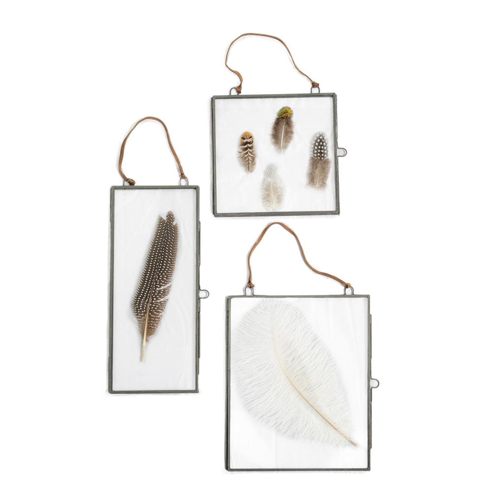 Plume Collection - 1st Edition