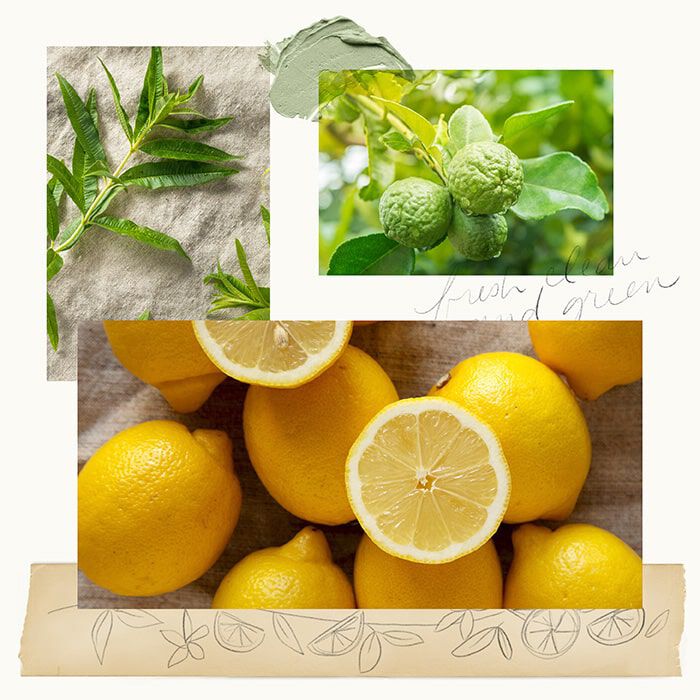 Botanical Blends Countertop Spray