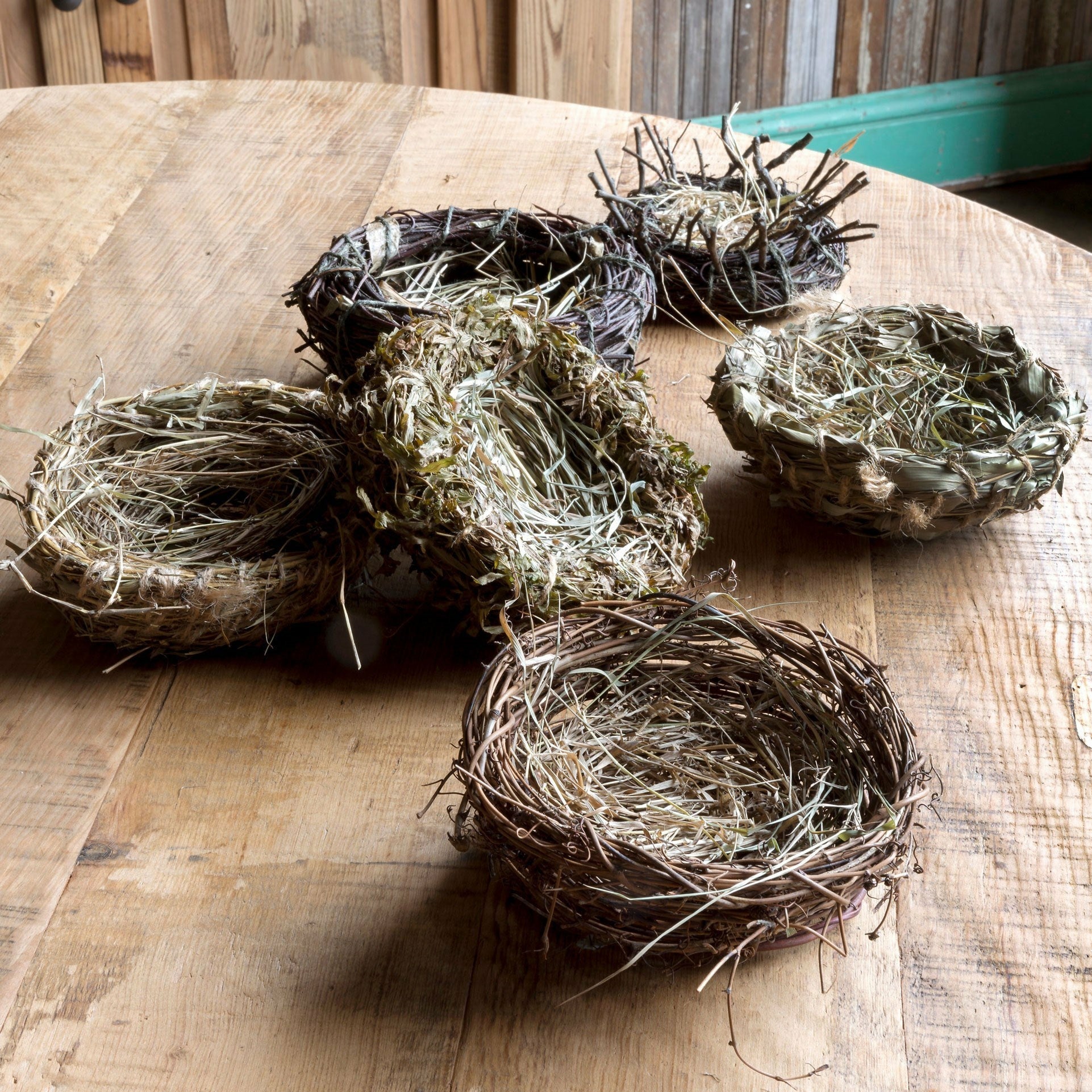 Nests