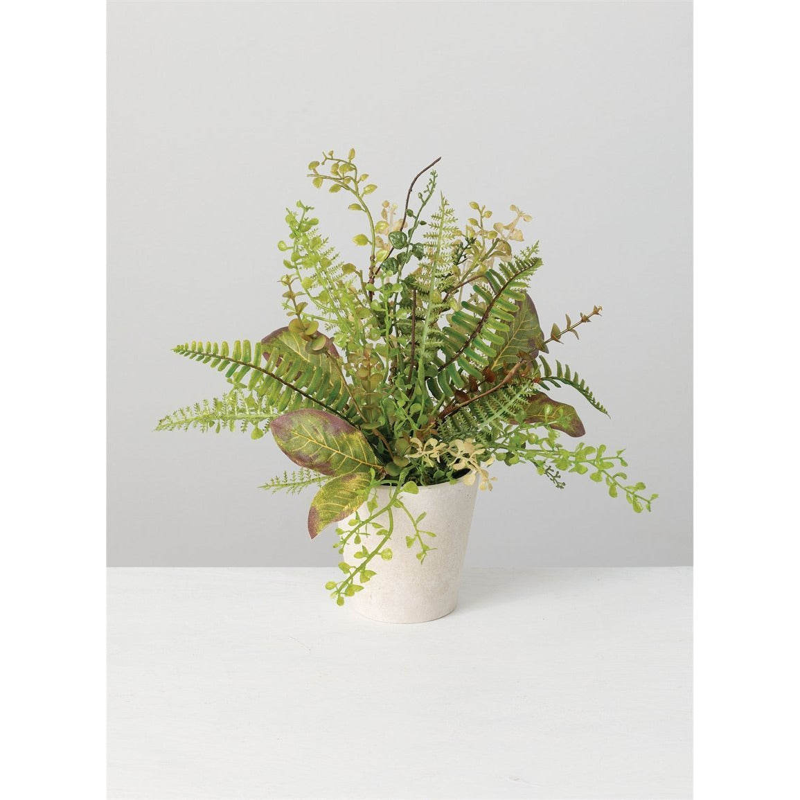 Mixed Herbs Pot