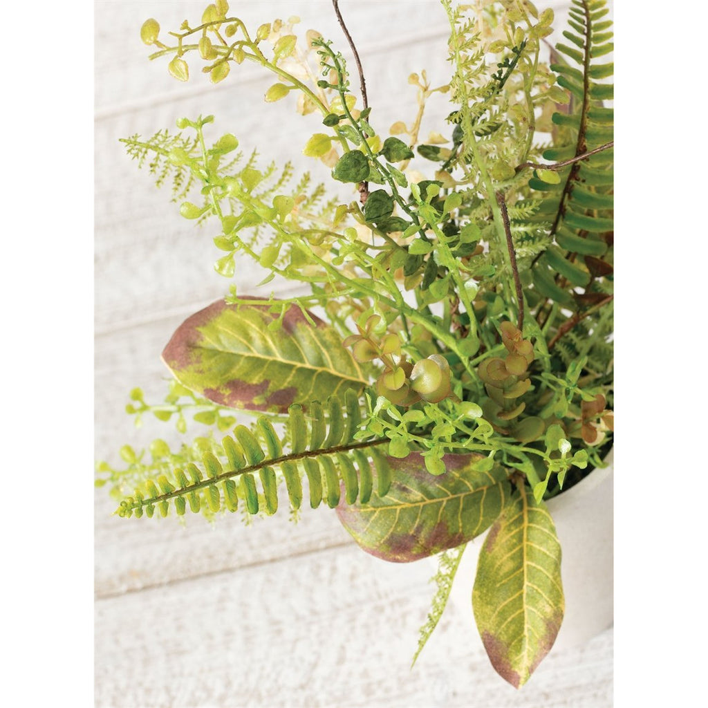 Mixed Herbs Pot