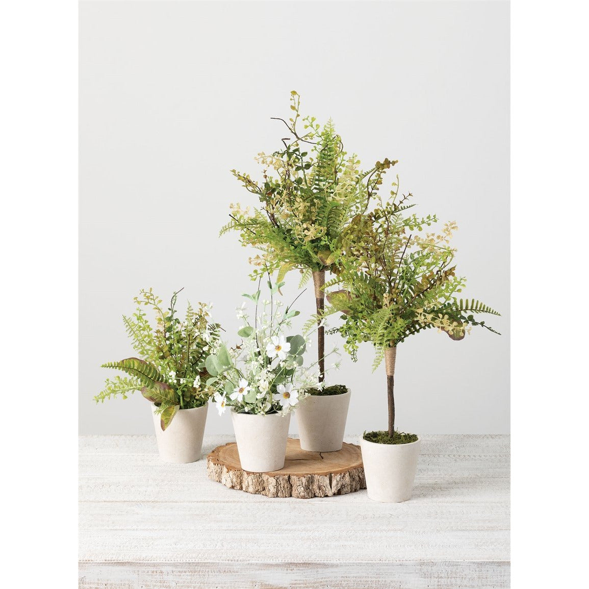 Mixed Herbs Pot