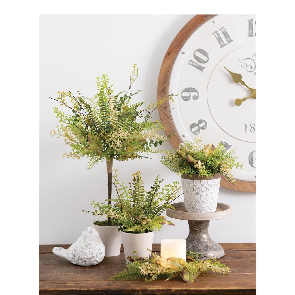 Mixed Herbs Pot