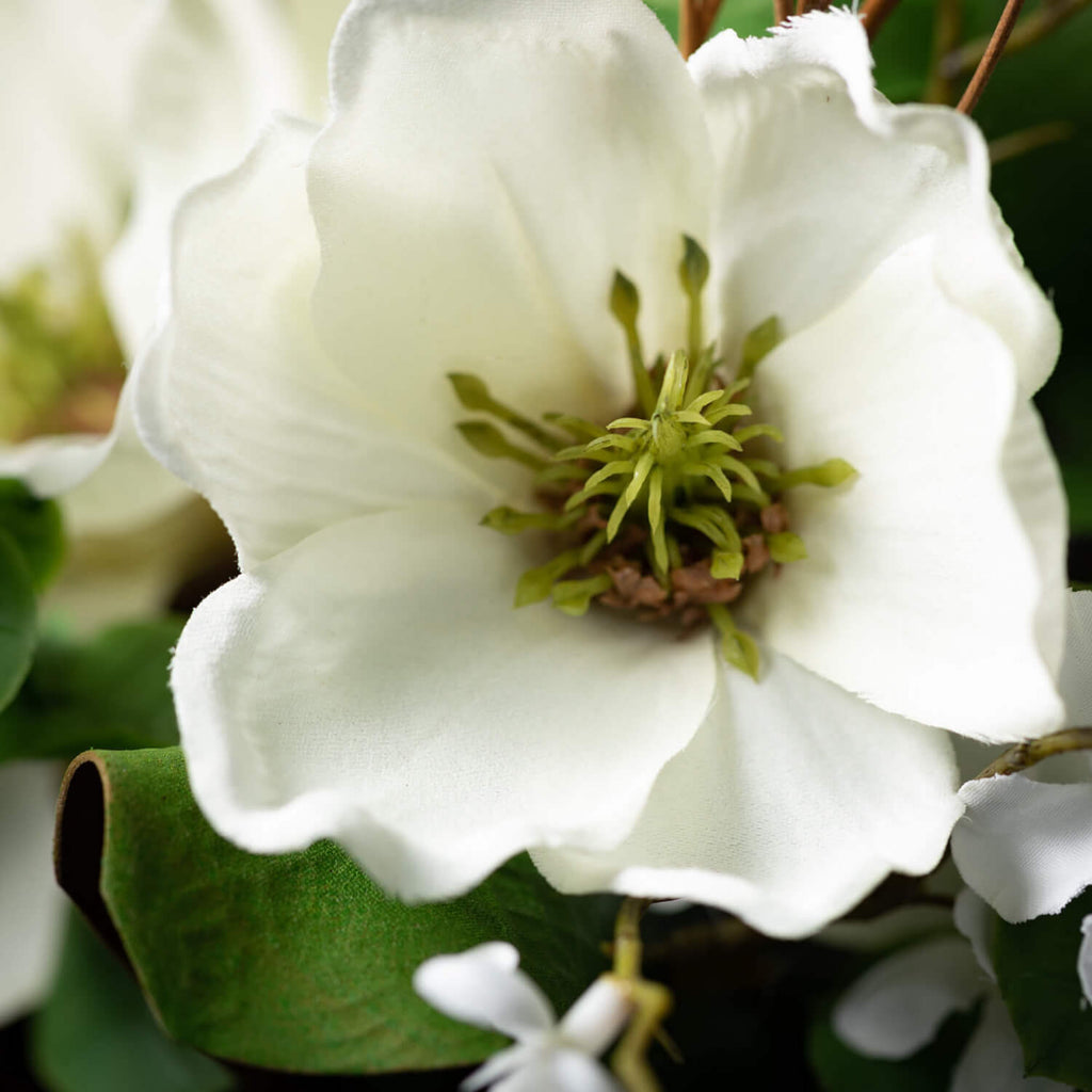 Magnolia 1/2 Orb
