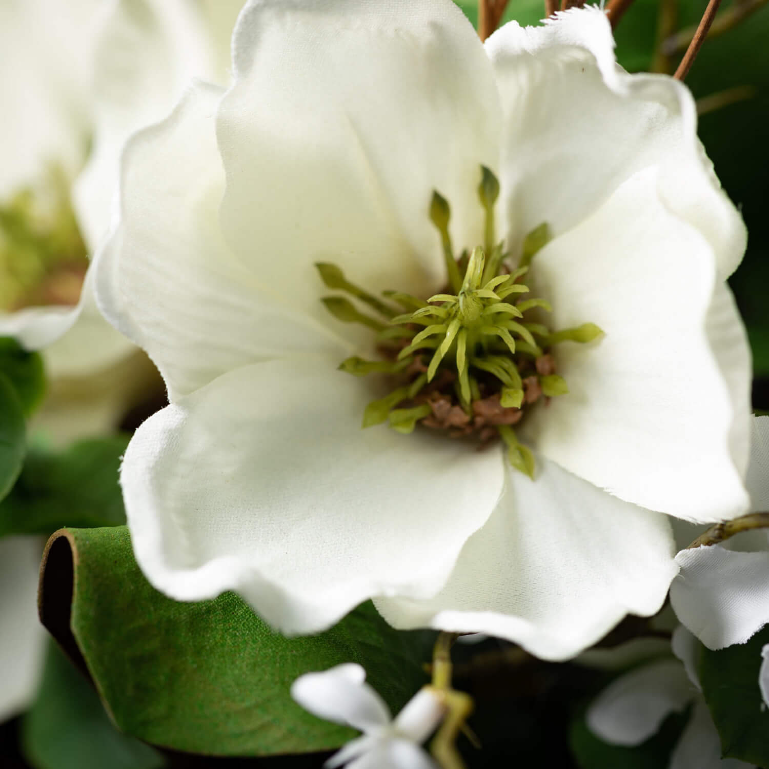 Magnolia 1/2 Orb