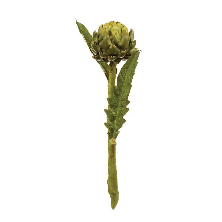 Artichoke Stem - 25"