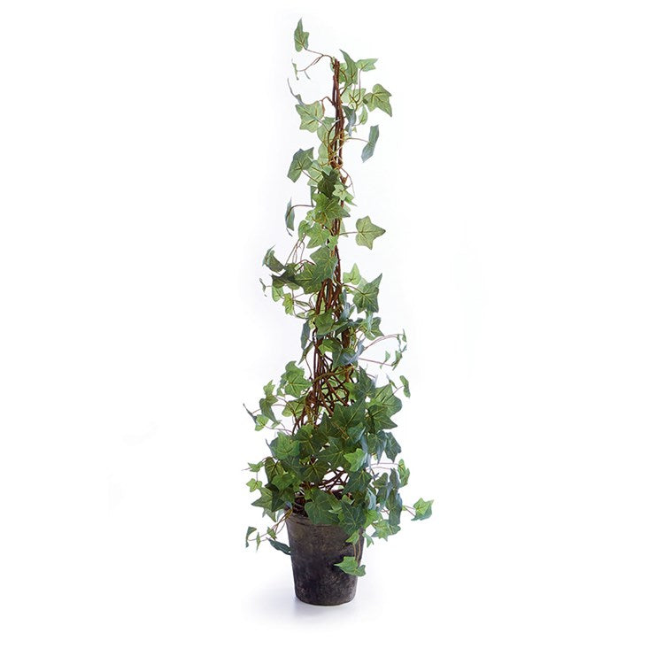 Ivy Cone Topiary
