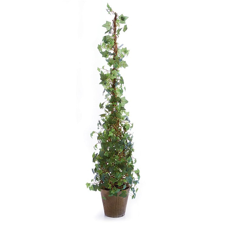 Ivy Cone Topiary