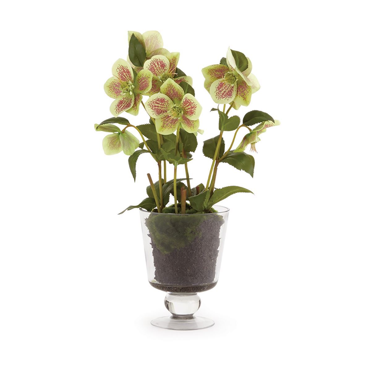 Hellebores Arrangement in Urn - 16"