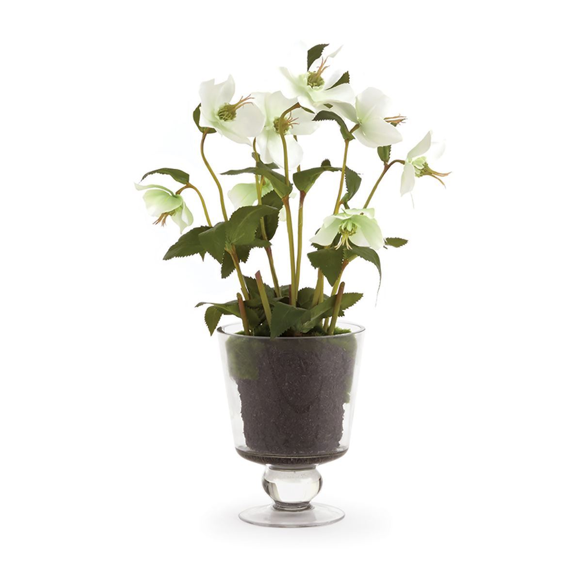 Hellebores Arrangement in Urn - 16"