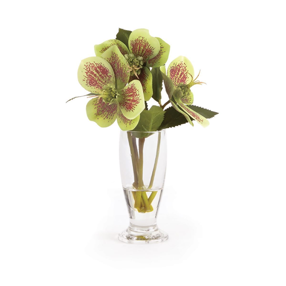 Hellebores Arrangement in Urn 7"