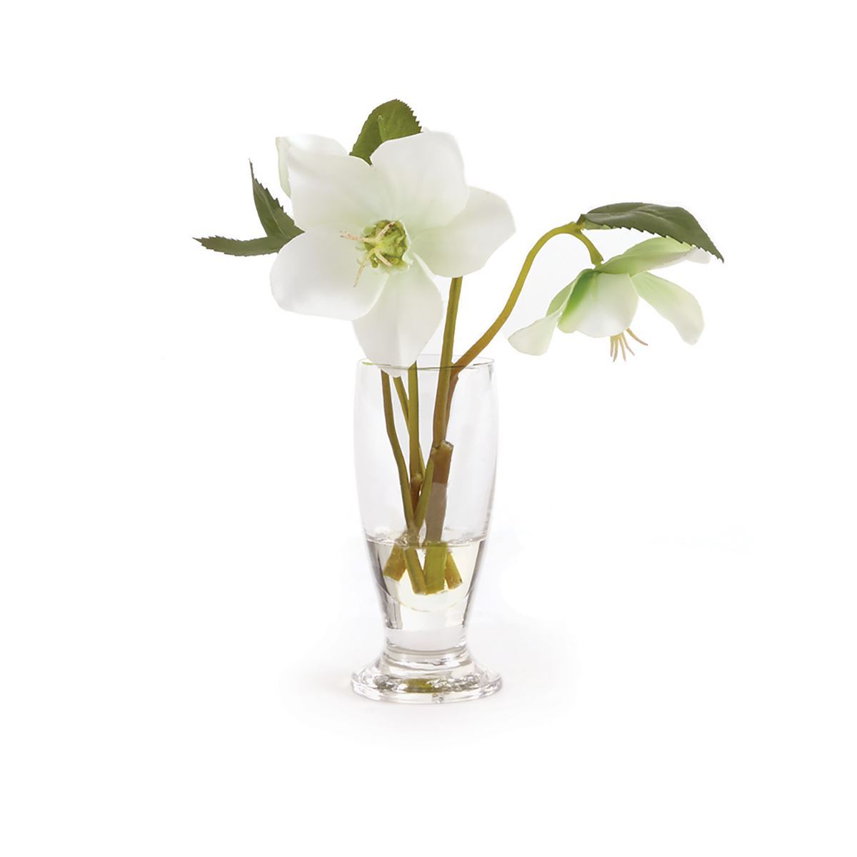 Hellebores Arrangement in Urn  7"