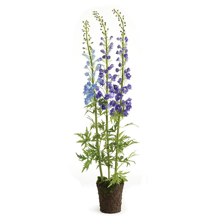 Delphinium Drop-In | 53"