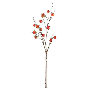 Persimmon Branch