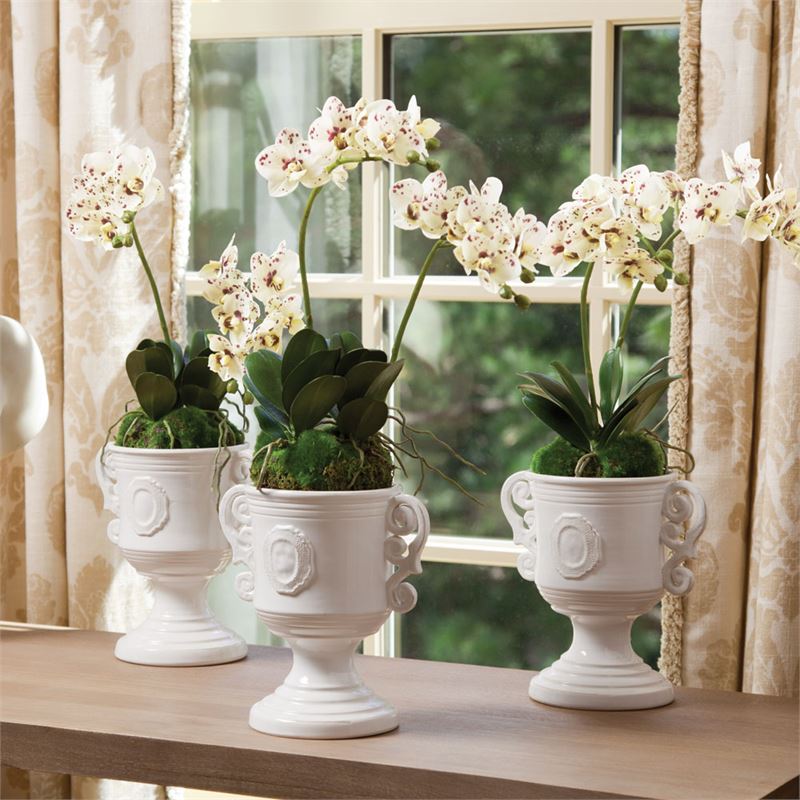 Phalaenopsis Orchid Drop-In 16" | Speckled