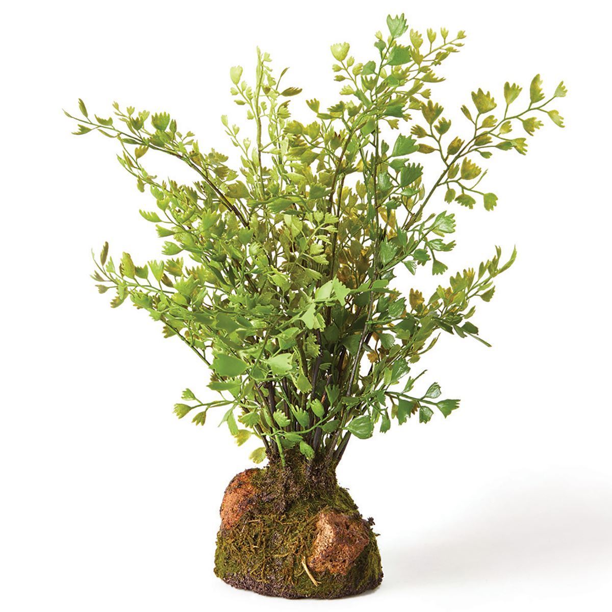 Maidenhair Fern Drop-In 11"