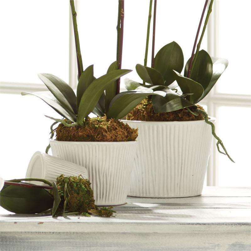 Sinclair White Cachepot
