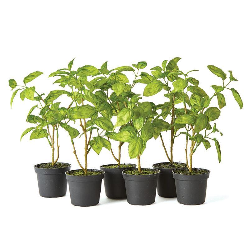 Basil Drop-In 11"