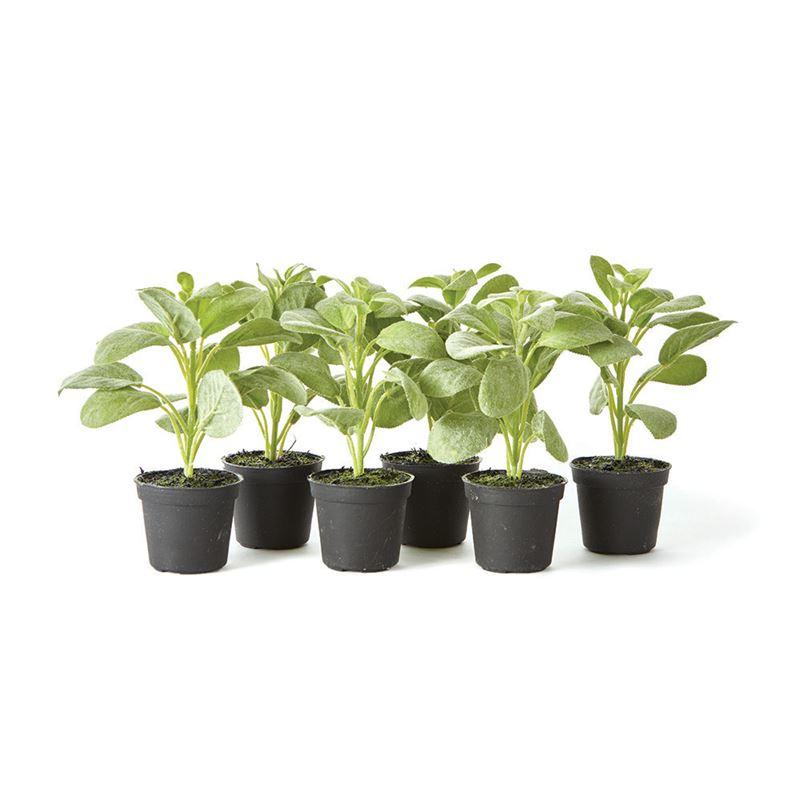 Sage Drop-In 6.5"