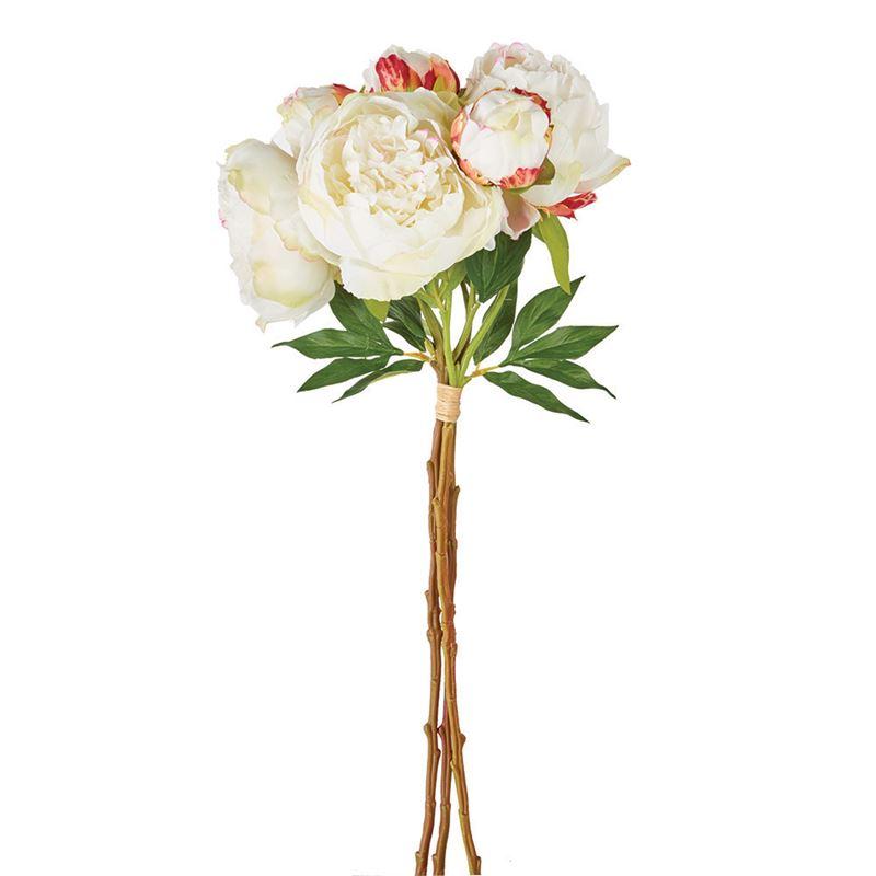 Peonies | 21'  Bundle of 3
